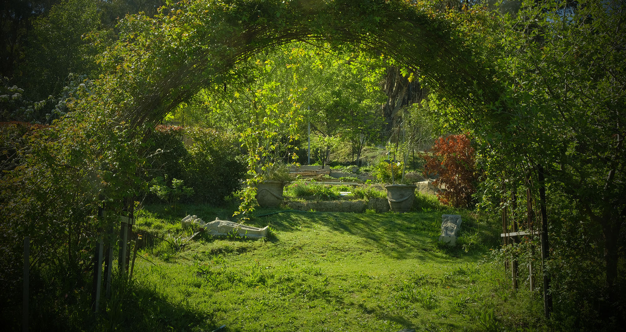 _DSF8751 toward Gulistan Oct 2018web